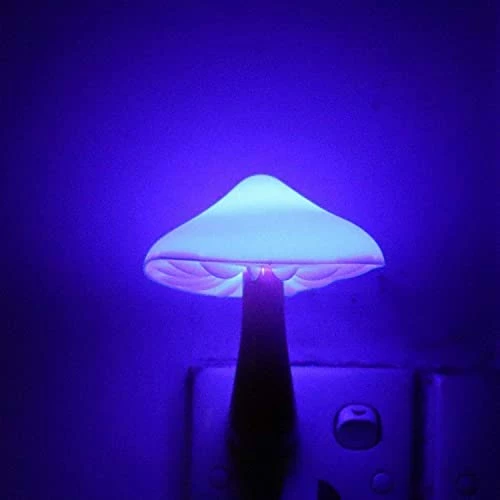 Cheap π Sensor LED Night Light Plug In Lamp Mushroom Night Light 7-Color Changing Magic Mini Pretty Mushroom-Shaped Night Lights For Adults Kids NightLight β 16 Cheap π Sensor LED Night Light Plug In Lamp Mushroom Night Light 7-Color Changing Magic Mini Pretty Mushroom-Shaped Night Lights For Adults Kids NightLight β - Image 14