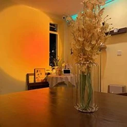 Brand new 🛒 Sunset Lamp Tiktok Lamp, FEEERMY 360degree Chill Vibe Sunset Projection Lamp, Dimmable LED Night Light Sunset Lamp Projector For Kids Bedroom/Office Room Ambiance Decor Sunset Red ❤️ 14 Brand new 🛒 Sunset Lamp Tiktok Lamp, FEEERMY 360degree Chill Vibe Sunset Projection Lamp, Dimmable LED Night Light Sunset Lamp Projector For Kids Bedroom/Office Room Ambiance Decor Sunset Red ❤️ -Lighting & Ceiling Fans Shop 41Pe9rsQFfL