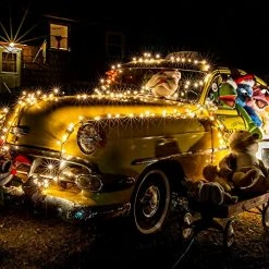 Cheapest 🛒 Clear 🎄 Christmas String Lights 100 Count 25 Feet Incandescent Bulb Mini Lights For Indoor Xmas Tree Garland 🥳 Birthday Wedding Party Festival Decoration, Green Wir 😍 -Lighting & Ceiling Fans Shop 51WbNA8sfhL