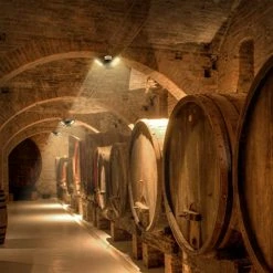 Best deal 🔥 2-Pack 3CCT LED Garage Light With 3 Deformable Panels, 60W 6000LM With E26/27 Medium Base, 3000K/4000K/6000K Selectable Triple LED Garage Lighting, Screw In LED Tri Light For Attic, Basement(Black) 🎉 -Lighting & Ceiling Fans Shop 51X9GcbI14L