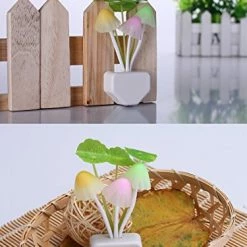 Top 10 ✔️ Sensor Led Night Light, Color Changing Plug-in LED Mushroom Dream Bed Lamp 🛒 -Lighting & Ceiling Fans Shop 51mRKgmH9QL