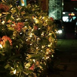 Flash Sale 🌟 Christmas Lights, Battery Operated String Lights 18ft 50 LED 8 Modes LED Mini Lights With Timer For 🎄 Christmas Tree Wreath Party Home Indoor Outdoor Decor, Waterproof, Warm White Green Wire Warm White 🌟 -Lighting & Ceiling Fans Shop 51vvCvBsXOL