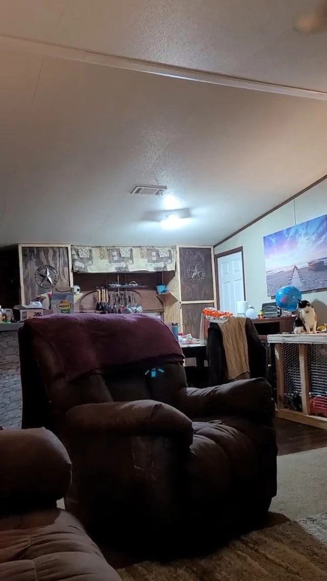 Coupon π 2-Pack Garage Lights 150W Garage LED Light - 15000LM 6500K Deformable Garage Light Ceiling LED With 6 Glow Panels Screw In Garage Lighting With E26/E27 Screw Socket For Basement Workshop Warehouse π 8 Coupon π 2-Pack Garage Lights 150W Garage LED Light - 15000LM 6500K Deformable Garage Light Ceiling LED With 6 Glow Panels Screw In Garage Lighting With E26/E27 Screw Socket For Basement Workshop Warehouse π - Image 6